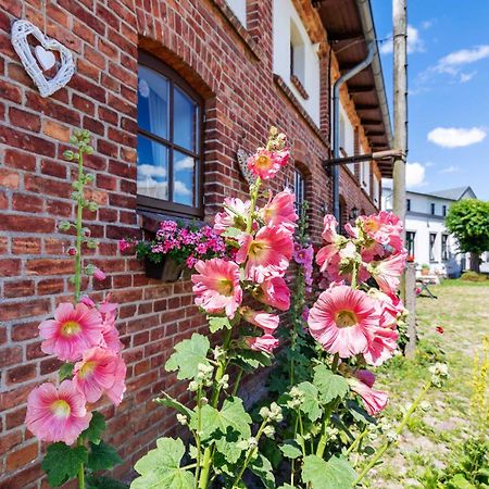 Ostsee Bauernhof Schwalbennest Ofc 15 Steffenshagen Bagian luar foto