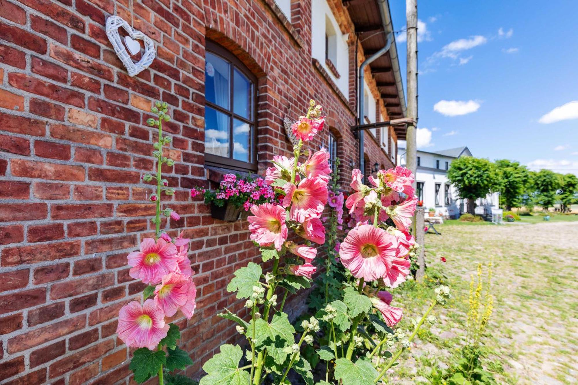 Ostsee Bauernhof Schwalbennest Ofc 15 Steffenshagen Bagian luar foto